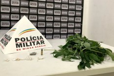 PM prende um e apreende menor com munição e drogas no bairro Jardim das Oliveiras em Itabira