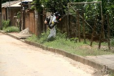 Prefeitura intensifica combate à Febre Amarela