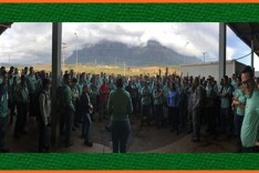 Vale informa sobre a retomada de operação na mina Alegria