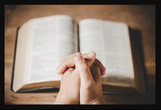 EVANGELHO DO DIA 📖 03 de Dezembro de 2022 “Vendo Jesus as multidões, compadeceu-se delas”