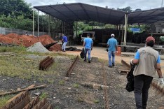 Mutirão de combate à dengue continuam em maio