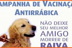 Prefeitura de Catas Altas vacina cães e gatos contra raiva