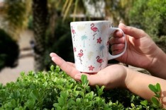 Câmara de São Gonçalo do Rio Abaixo adota atitude sustentável e os resultados positivos aparecem