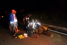 Motociclista fica gravemente ferido após bater moto contra um animal na MGC-120 na Barragem Santana