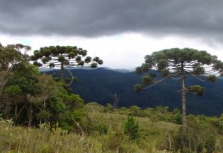 Previsão do tempo para Minas Gerais nesta segunda-feira, 6 de dezembro