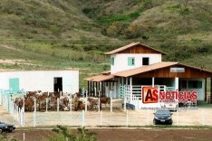 Dois animais foram furtados em curral da Fazenda EPAMIG no Povoado do Córrego do Meio em Itabira	