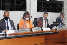 Vereadores aprovam mudanças em conselhos e transferência de bens à Prefeitura