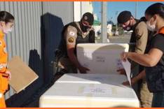 Estado distribui 12ª remessa de vacinas contra a covid-19