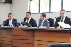 Aprovado na Câmara, projeto visa conter o aumento populacional de cães e gatos