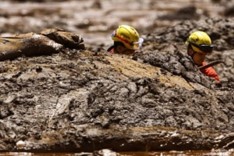 Mortos em tragédia de Brumadinho chegam a 203; outras 105 pessoas seguem desaparecidas