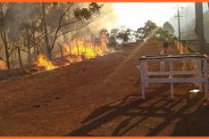 Fogo destrói mais de 30 hectares de mata fechada em Barão de Cocais