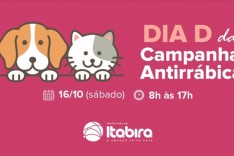 Dia D da campanha de vacinação antirrábica acontece neste sábado