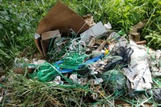 Em Caeté: motorista e gerente de loja são presos por crime ambiental