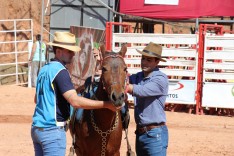 26ª Cavalgada registra saldo positivo em 2018