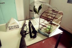 PM prende homem suspeito de estupro de vulnerável e apreende pássaros e armas em Santo Antonio do Rio Abaixo