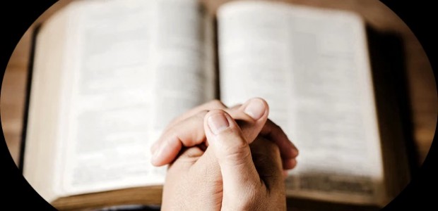 EVANGELHO DO DIA 📖 18 de Outubro de 2022 “A messe é grande, mas os trabalhadores são poucos’