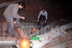 Operador de motosserra é encontrado pelo patrão em corte de eucaliptos no Ribeirão São José em Itabira