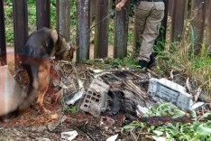 Adolescente é apreendido com maconha e dinheiro na rua Chácara no Bela Vista em Itabira
