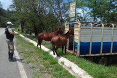 Policia realiza Operação de Prevenção a acidente de trânsito nas Rodovias