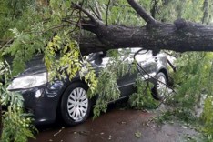 TJMG libera município de indenizar seguradora