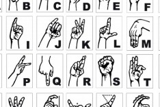 Capacitação – Curso de Libras é oferecido a servidores municipais