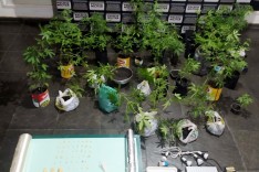 Homem é amarrado e morto carbonizado dentro de residencia incendiada em Manhuaçu	