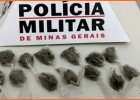 Policia Militar prende jovem com buchas de maconha no bairro Fênix