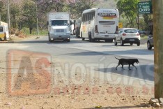 Fiscais do DEER estão multando caminhoneiros que param para alimentar nos comércios do bairro Chapada 