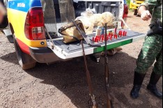 Policia de Meio Ambiente prende dois e apreende armas e munições utilizadas para caça em Barão de Cocais 