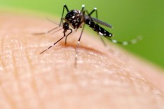 Situação de surto – Aumenta número de casos e notificações da dengue em Itabira