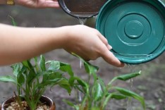 Dengue, zika e chikungunya – 39 bairros de Itabira correm risco de surto