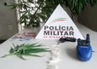 POLICIAIS APREENDEM PÉ DE MACONHA E PINOS DE COCAÍNA EM RESIDÊNCIA NO BAIRRO PEDREIRA 