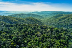 Vale adere à campanha da Business for Nature