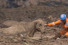 Secretário diz que política de segurança de barragens pode mudar