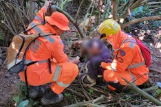 Bombeiros encontraram idoso de 82 anos perdido em mata no bairro Ipanema em Ipatinga