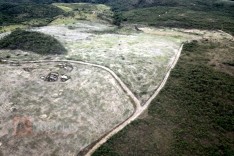 Militares de Meio Ambiente em Itambé do Mato Dentro localiza aréa preservação desmatada 
