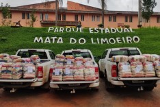 Coletivo da Mata do Limoeiro arrecada cestas básicas para famílias carentes 