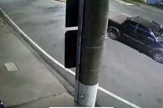 Cidadã é flagrada furtando mudas de canteiro central recém-revitalizado em Itabira